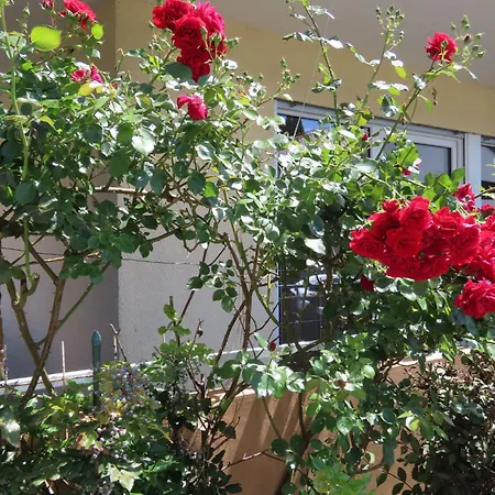 Westside Appartement *