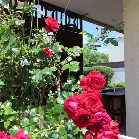 Westside Appartement