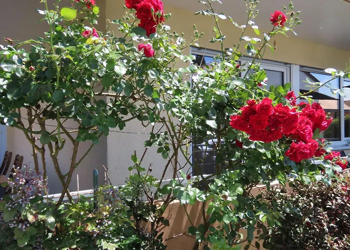 Westside アパート *